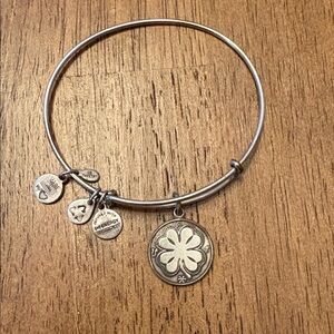 Alex and Ani